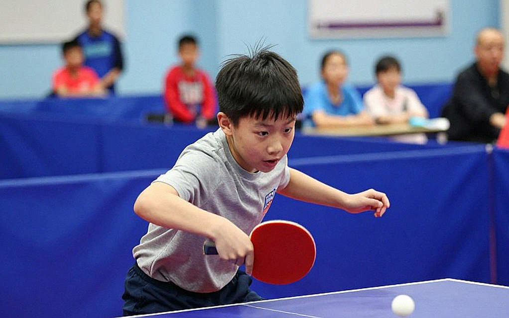 Bóng bàn Việt Nam trong chu kỳ Olympic mới: cửa sổ phản xạ, bộ chân và bài toán lịch thi đấu Bóng bàn Việt Nam trong chu kỳ Olympic mới: cửa sổ phản xạ, bộ chân và bài toán lịch thi đấu