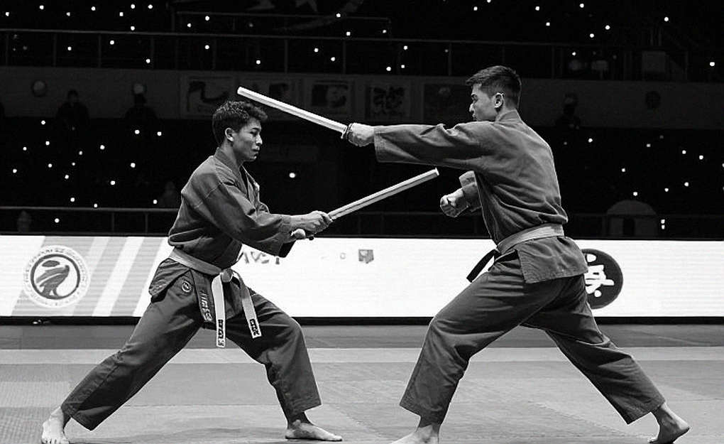 Cracks That Never Heal: The Physical Indictment of Vietnam's Martial Arts During Professionalization Era